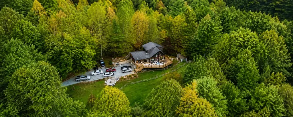 Aerial view of a woodland cabin with a deck lit by string lights, surrounded by forest