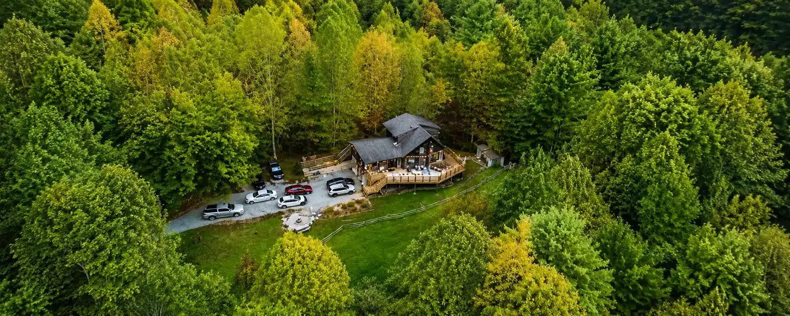Aerial view of a woodland cabin with a deck lit by string lights, surrounded by forest